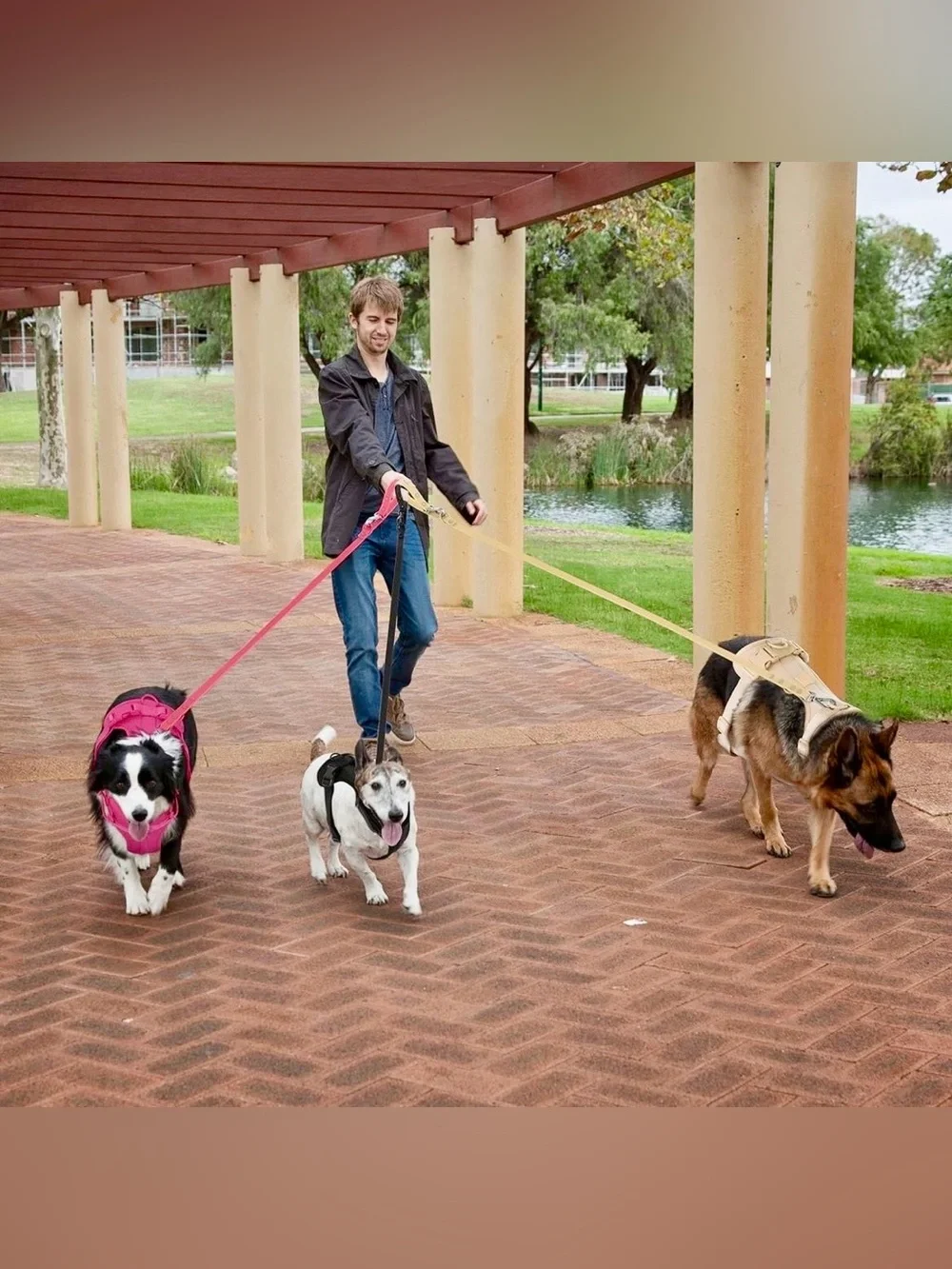 Wisedog No Pull Lightweight Dog Vest Harness with Soft and Comfortable Cushion,